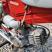 product-79048.jpg